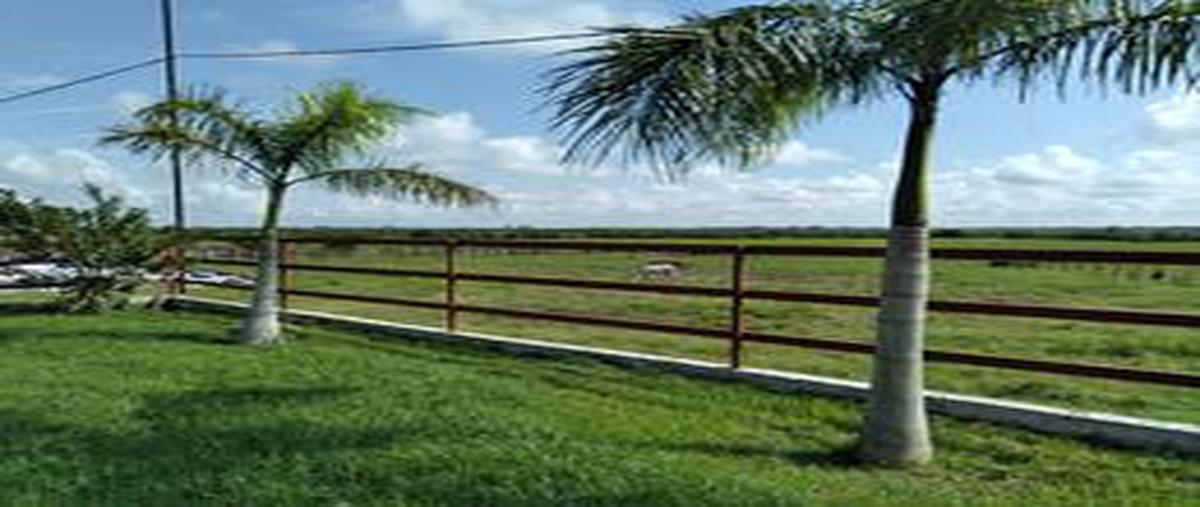 Foto de rancho en carretera ébano - estación manuel , chapacao dos, pánuco, veracruz de ignacio de la llave, 0 foto 01 Foto de rancho en venta en carretera ébano - estación manuel , chapacao dos, pánuco, veracruz de ignacio de la llave, 0 No. 01