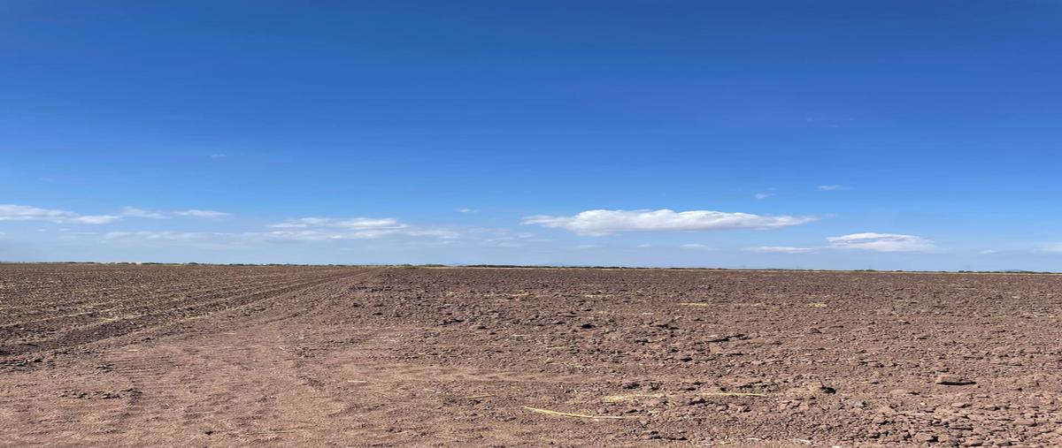 Foto de terreno industrial en venta en carretera ejido primero de mayo , tabachines, ahome, sinaloa, 31558944 No. 03
