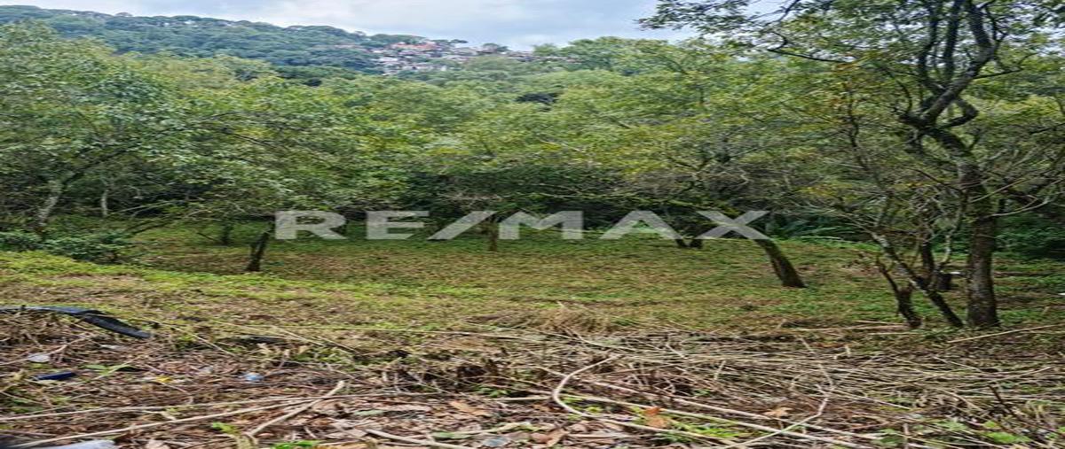 Foto de terreno habitacional en venta en carretera el manguito , santa maría ahuacatlan, valle de bravo, méxico, 25361480 No. 03