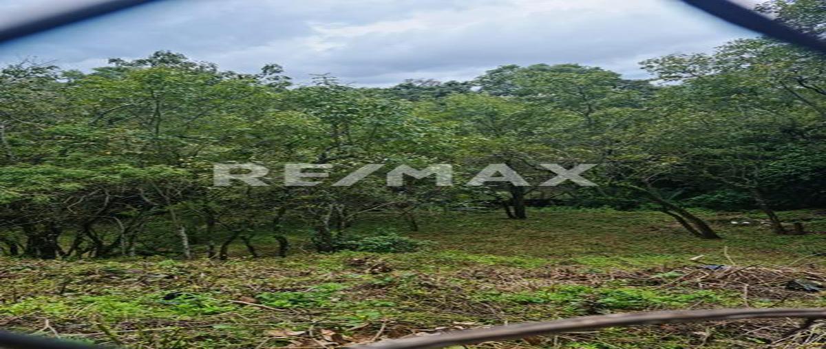 Foto de terreno habitacional en venta en carretera el manguito , santa maría ahuacatlan, valle de bravo, méxico, 25361480 No. 04