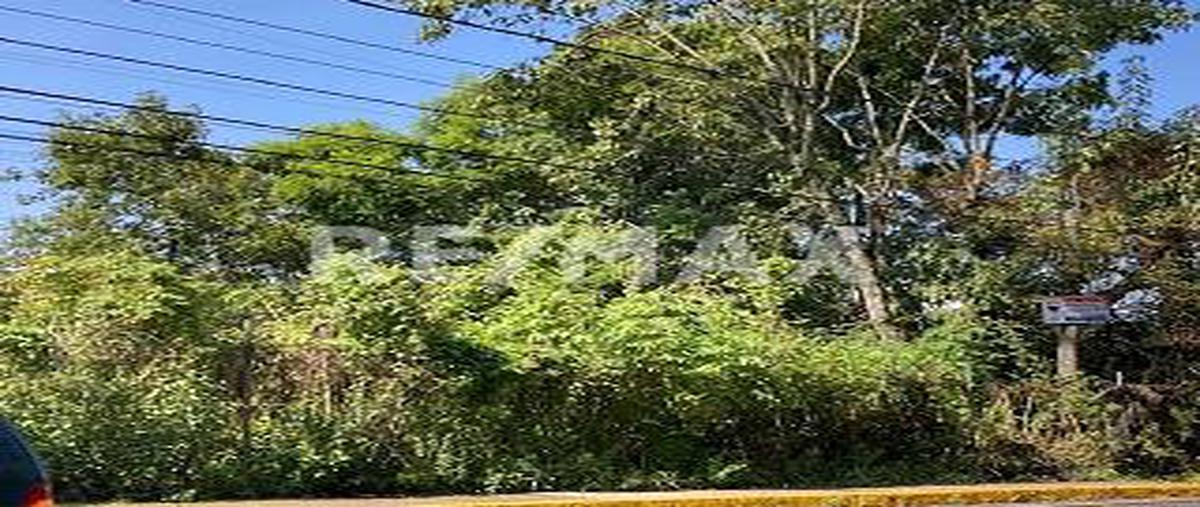Foto de terreno habitacional en venta en carretera el manguito , santa maría ahuacatlan, valle de bravo, méxico, 25361480 No. 05