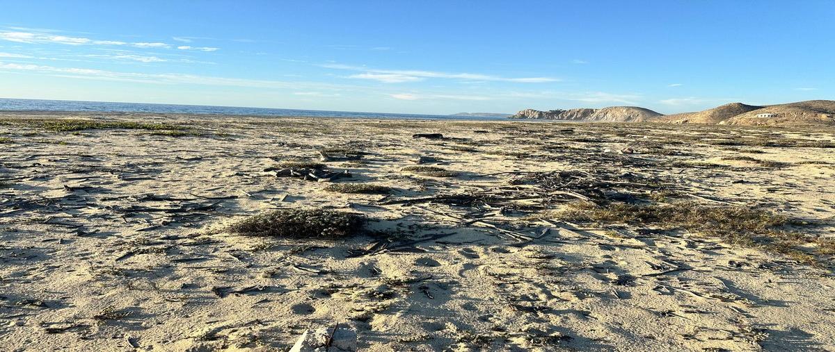 Foto de terreno habitacional en venta en carretera el pescadero cabo san lucas , plutarco elias calles, la paz, baja california sur, 0 No. 03