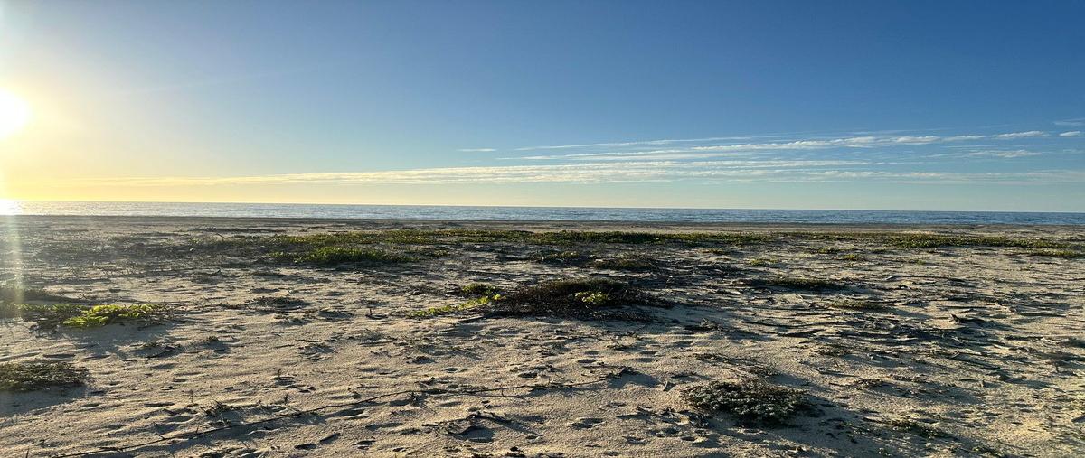 Foto de terreno habitacional en venta en carretera el pescadero cabo san lucas , plutarco elias calles, la paz, baja california sur, 0 No. 04