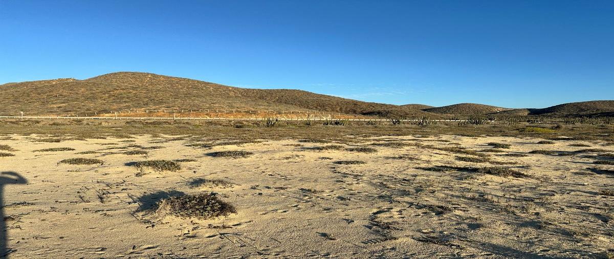 Foto de terreno habitacional en venta en carretera el pescadero cabo san lucas , plutarco elias calles, la paz, baja california sur, 0 No. 05