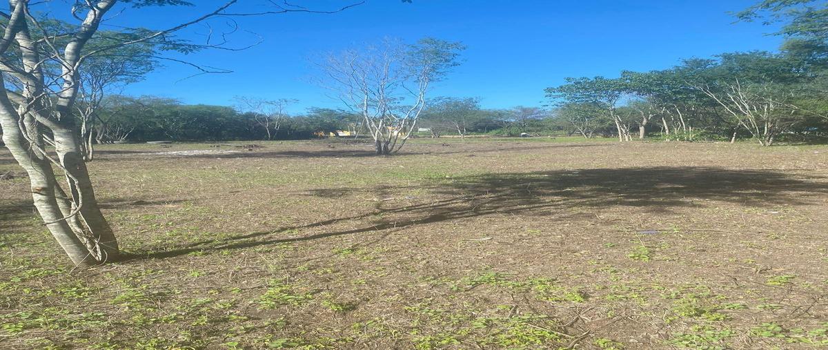 Foto de terreno habitacional en venta en carretera el porvenir allende nuevo leon , el porvenir, allende, nuevo león, 29009882 No. 04
