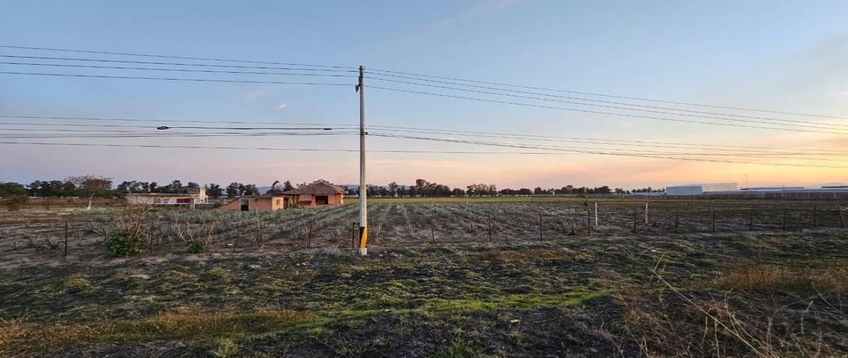 Foto de terreno industrial en venta en carretera el refugio , el refugio, tala, jalisco, 27961715 No. 04