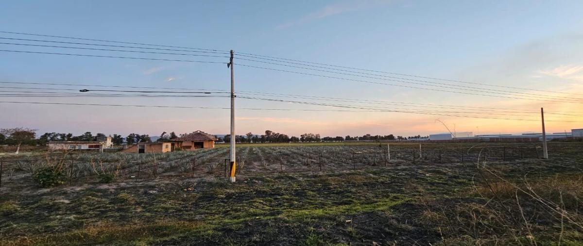 Foto de terreno industrial en venta en carretera el refugio , el refugio, tala, jalisco, 27961715 No. 05