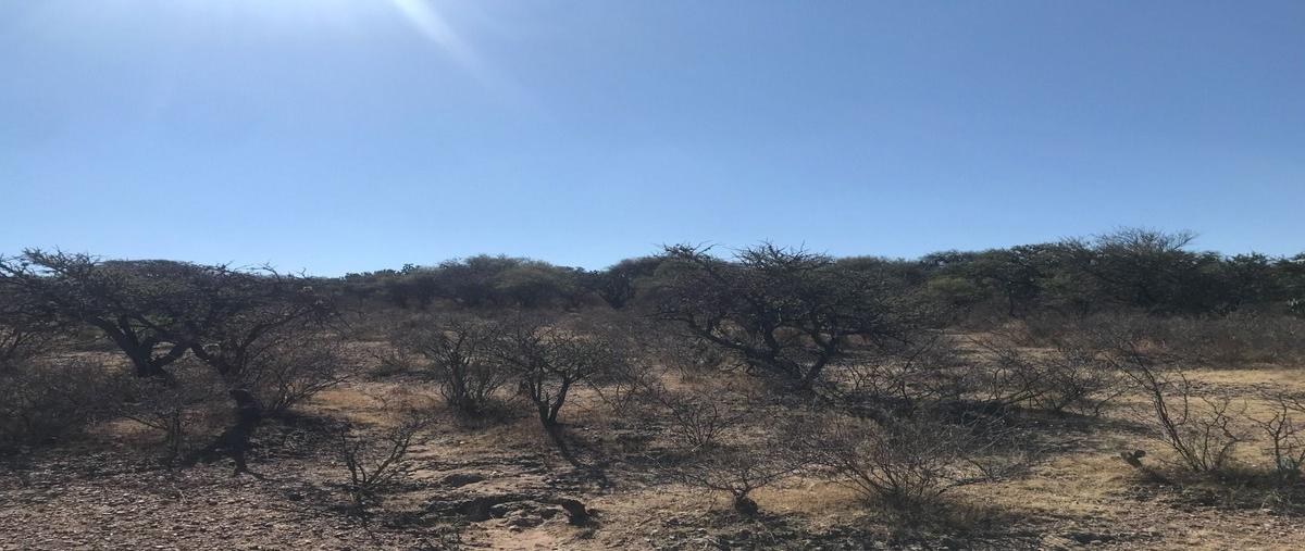Foto de terreno habitacional en carretera el retoño sandovales , el retoño, el llano, aguascalientes, 29510962 foto 02 Foto de terreno habitacional en venta en carretera el retoño sandovales , el retoño, el llano, aguascalientes, 29510962 No. 02