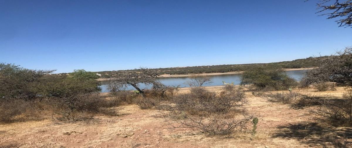 Foto de terreno habitacional en carretera el retoño sandovales , el retoño, el llano, aguascalientes, 29510962 foto 03 Foto de terreno habitacional en venta en carretera el retoño sandovales , el retoño, el llano, aguascalientes, 29510962 No. 03