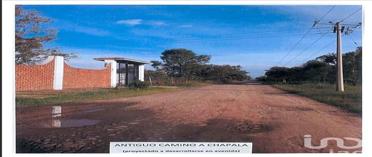 Foto de terreno habitacional en venta en carretera el salto , paseo de los agaves, tlajomulco de zúñiga, jalisco, 31014662 No. 05