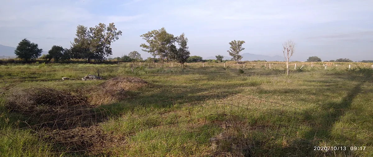 Foto de terreno industrial en venta en carretera el zapote 25, villa corona centro, villa corona, jalisco, 0 No. 01