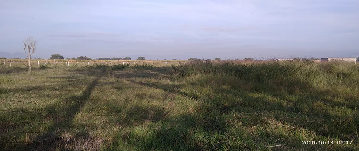 Foto de terreno industrial en venta en carretera el zapote 25, villa corona centro, villa corona, jalisco, 0 No. 02