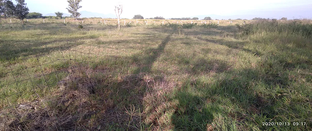 Foto de terreno industrial en venta en carretera el zapote 25, villa corona centro, villa corona, jalisco, 0 No. 03