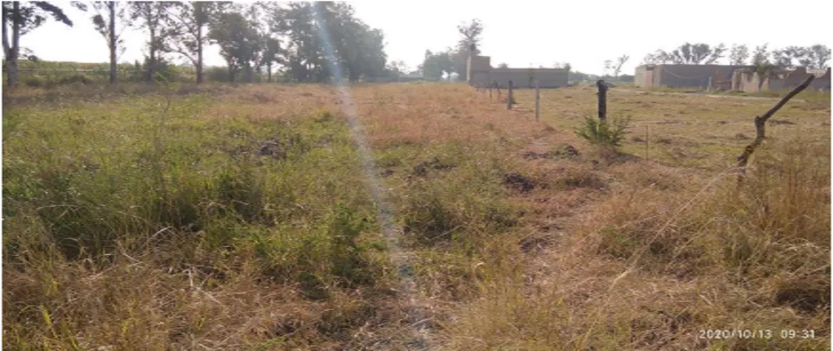 Foto de terreno comercial en venta en carretera el zapote parcela 7, santa cruz del valle, tlajomulco de zúñiga, jalisco, 0 No. 02