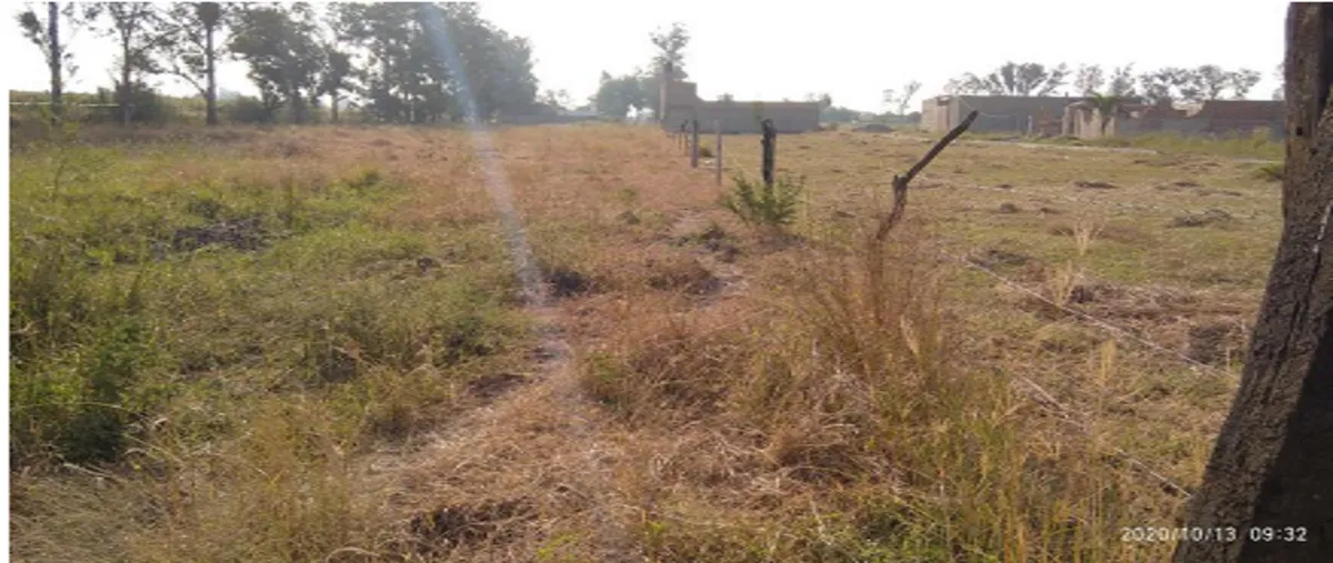 Foto de terreno comercial en venta en carretera el zapote parcela 7, santa cruz del valle, tlajomulco de zúñiga, jalisco, 0 No. 05
