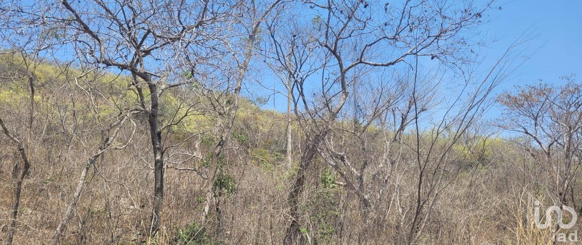 Foto de terreno habitacional en venta en carretera emiliano zapata , terán, tuxtla gutiérrez, chiapas, 0 No. 03