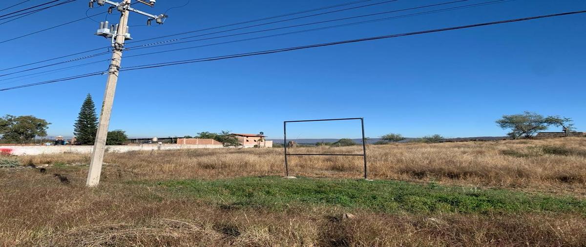 Foto de terreno habitacional en carretera entronque santa rosa- ocotlán , poncitlán centro, poncitlán, jalisco, 0 foto 04 Foto de terreno habitacional en venta en carretera entronque santa rosa- ocotlán , poncitlán centro, poncitlán, jalisco, 0 No. 04