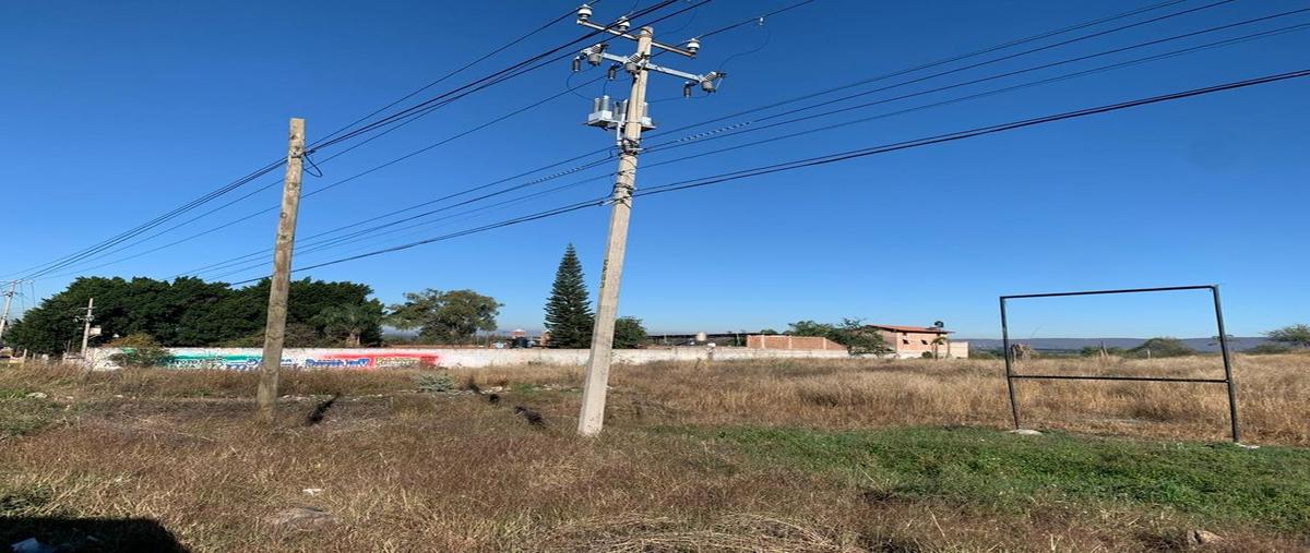 Foto de terreno habitacional en carretera entronque santa rosa- ocotlán , poncitlán centro, poncitlán, jalisco, 0 foto 05 Foto de terreno habitacional en venta en carretera entronque santa rosa- ocotlán , poncitlán centro, poncitlán, jalisco, 0 No. 05