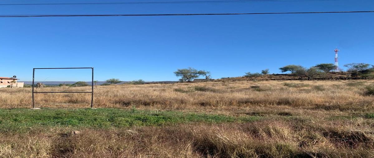 Foto de terreno habitacional en venta en carretera entronque santa rosa- ocotlán , poncitlán centro, poncitlán, jalisco, 0 No. 03