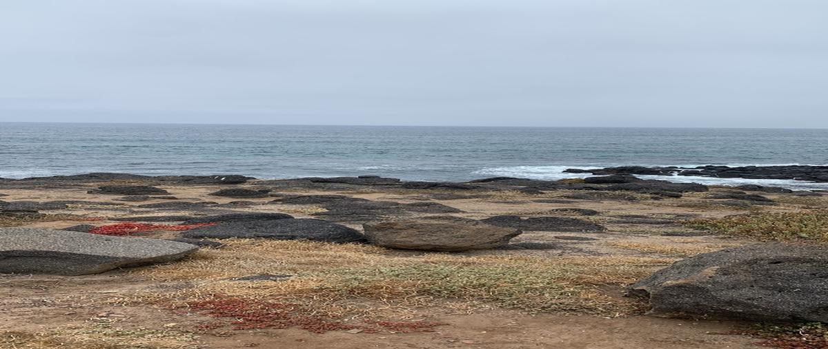 Foto de terreno habitacional en carretera escénica a ensenada , bajamar, ensenada, baja california, 0 foto 05 Foto de terreno habitacional en venta en carretera escénica a ensenada , bajamar, ensenada, baja california, 0 No. 05