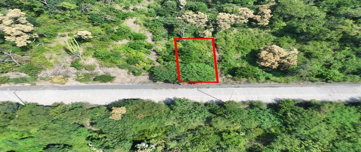 Foto de terreno habitacional en venta en carretera escenica riscalillo , la ropa, zihuatanejo de azueta, guerrero, 0 No. 03