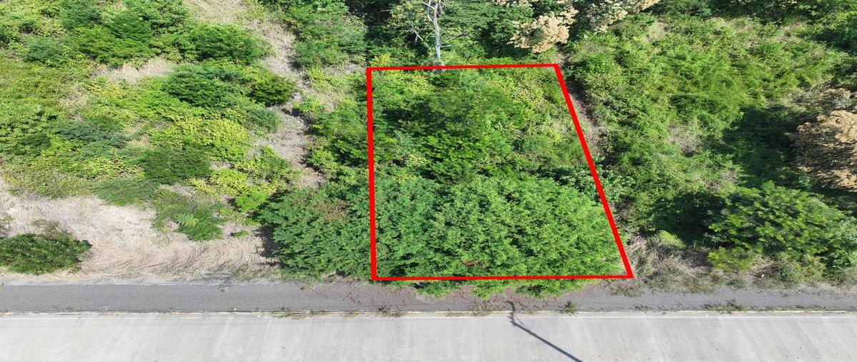 Foto de terreno habitacional en venta en carretera escenica riscalillo , la ropa, zihuatanejo de azueta, guerrero, 0 No. 05