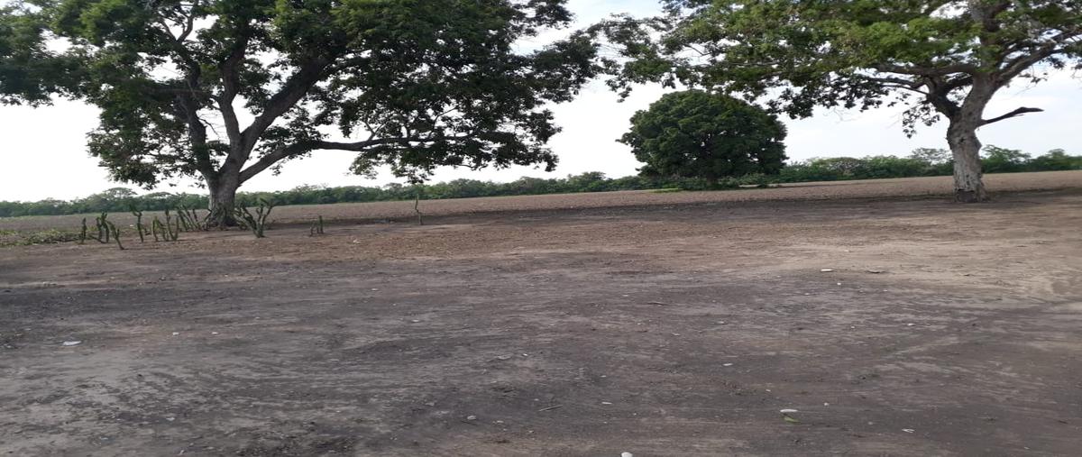 Foto de terreno comercial en carretera estacion manuel km8+500 , aldama, aldama, tamaulipas, 31500426 foto 02 Foto de terreno comercial en venta en carretera estacion manuel km8+500 , aldama, aldama, tamaulipas, 31500426 No. 02