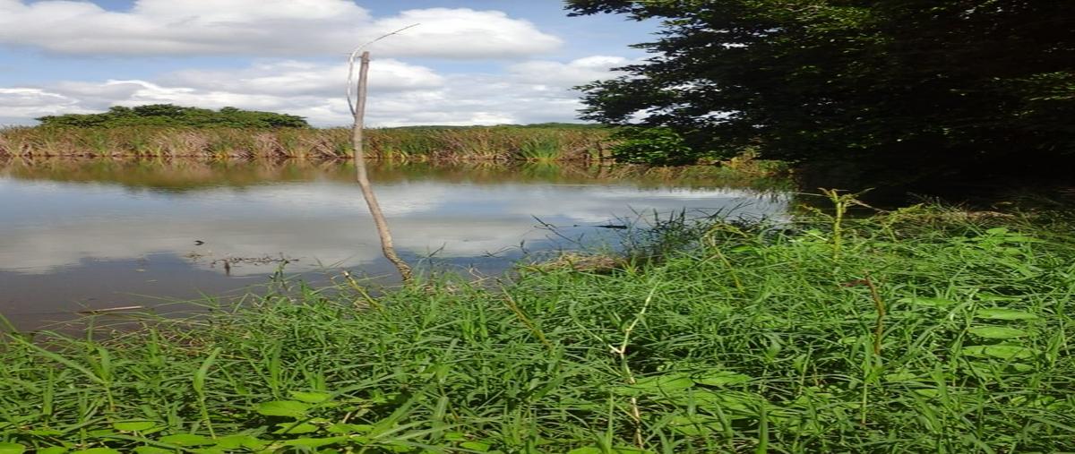 Foto de rancho en venta en carretera estación manuel-soto la marina ejido pancho villa , el pichijumo, aldama, tamaulipas, 30324159 No. 03