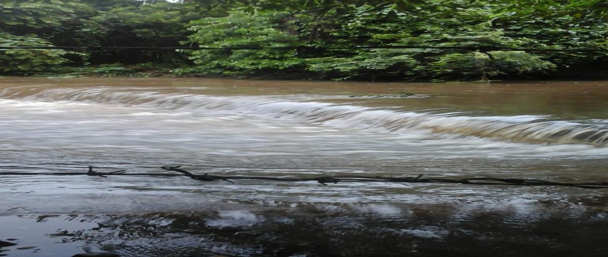 Foto de rancho en venta en carretera estación manuel-soto la marina ejido pancho villa , el pichijumo, aldama, tamaulipas, 30324159 No. 04