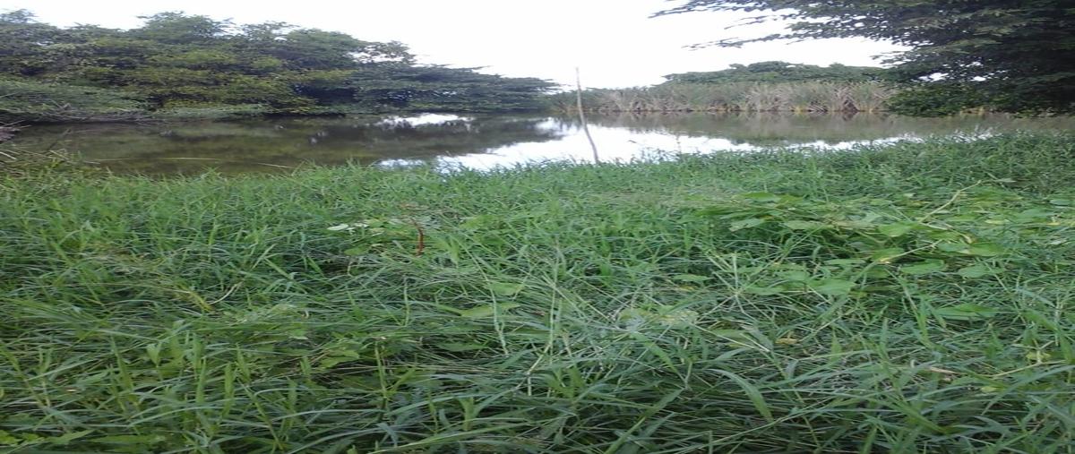 Foto de rancho en venta en carretera estación manuel-soto la marina ejido pancho villa , el pichijumo, aldama, tamaulipas, 30324159 No. 05