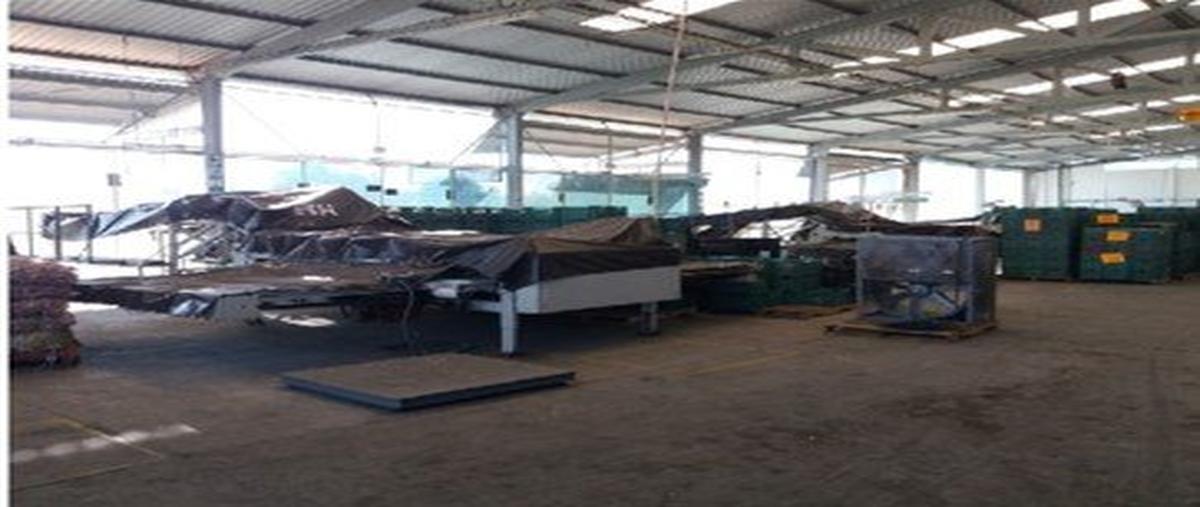 Foto de nave industrial en venta en carretera estatal 1, presa de san andrés, valle de santiago, guanajuato, 0 No. 03