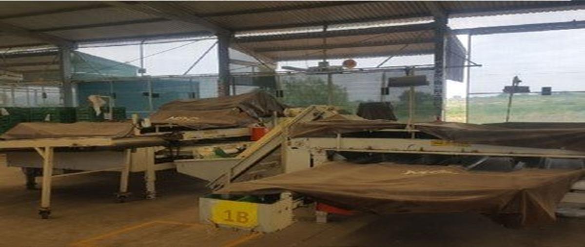 Foto de nave industrial en venta en carretera estatal 1, presa de san andrés, valle de santiago, guanajuato, 0 No. 04