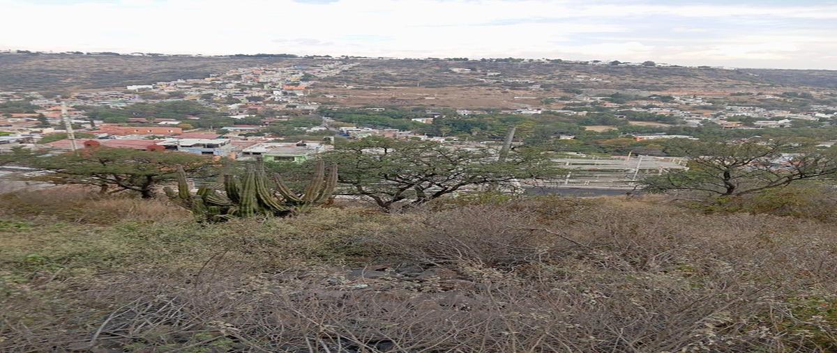 Foto de terreno habitacional en carretera estatal 200 , la cañada centro, el marqués, querétaro, 0 foto 04 Foto de terreno habitacional en venta en carretera estatal 200 , la cañada centro, el marqués, querétaro, 0 No. 04
