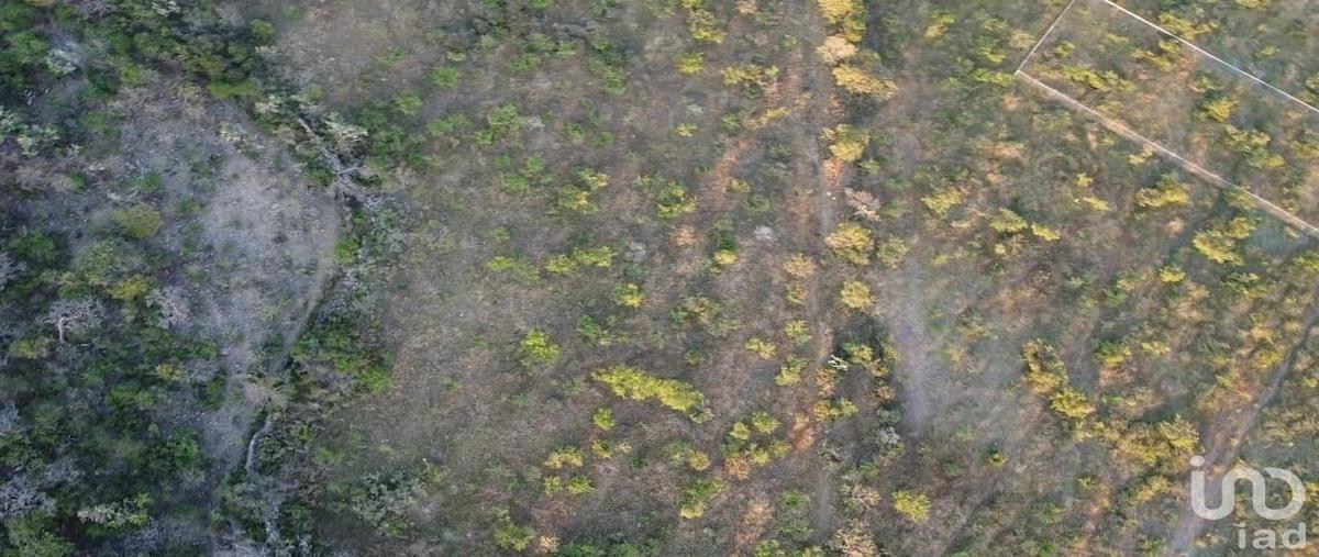 Foto de terreno habitacional en venta en carretera estatal 411 , el vegil, huimilpan, querétaro, 28745382 No. 03