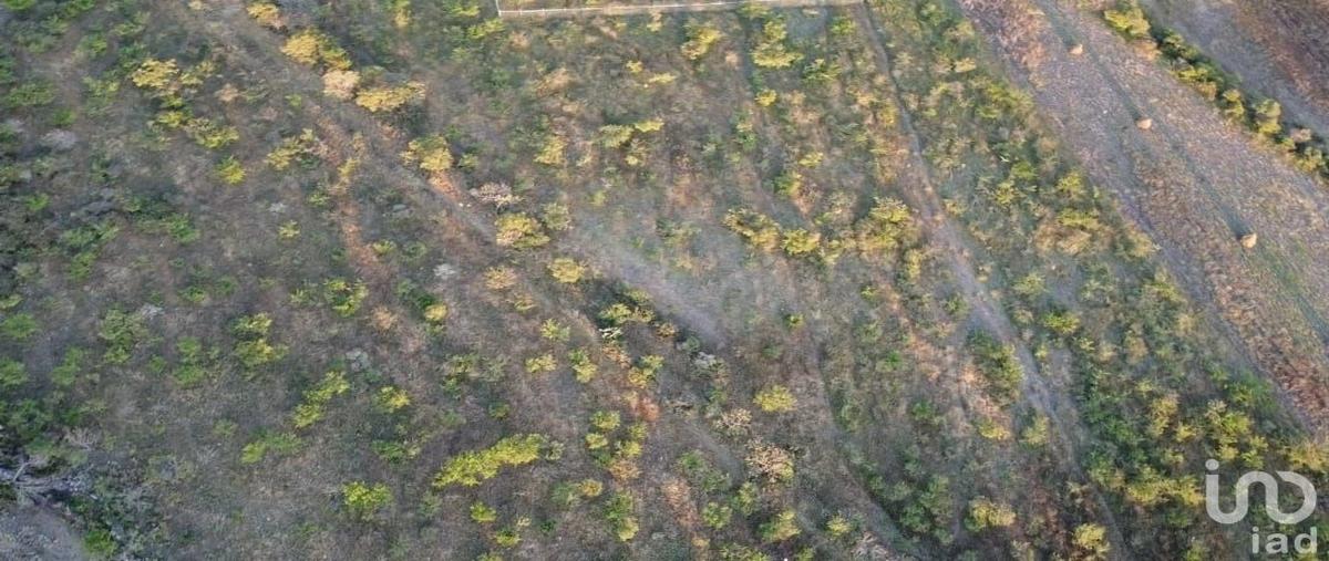 Foto de terreno habitacional en venta en carretera estatal 411 , el vegil, huimilpan, querétaro, 28745382 No. 04