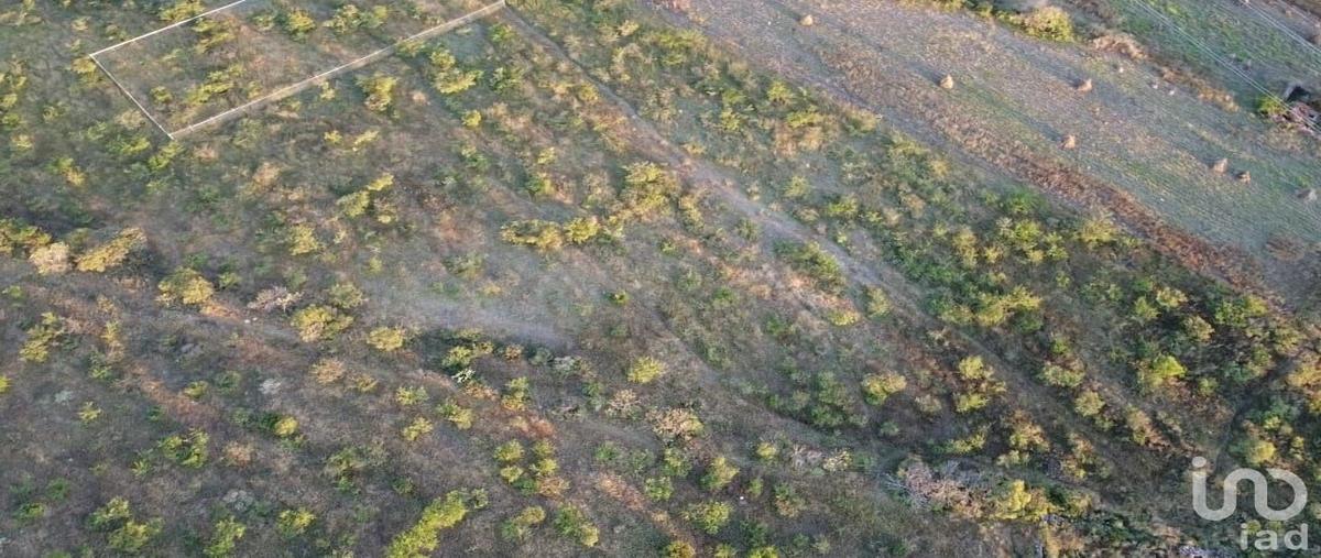 Foto de terreno habitacional en venta en carretera estatal 411 , el vegil, huimilpan, querétaro, 28745382 No. 05