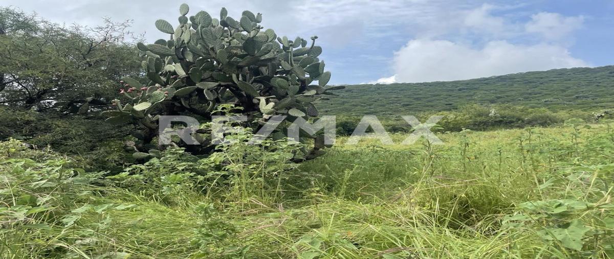 Foto de terreno comercial en carretera estatal 500 , tierra blanca, el marqués, querétaro, 26283803 foto 01 Foto de terreno comercial en venta en carretera estatal 500 , tierra blanca, el marqués, querétaro, 26283803 No. 01