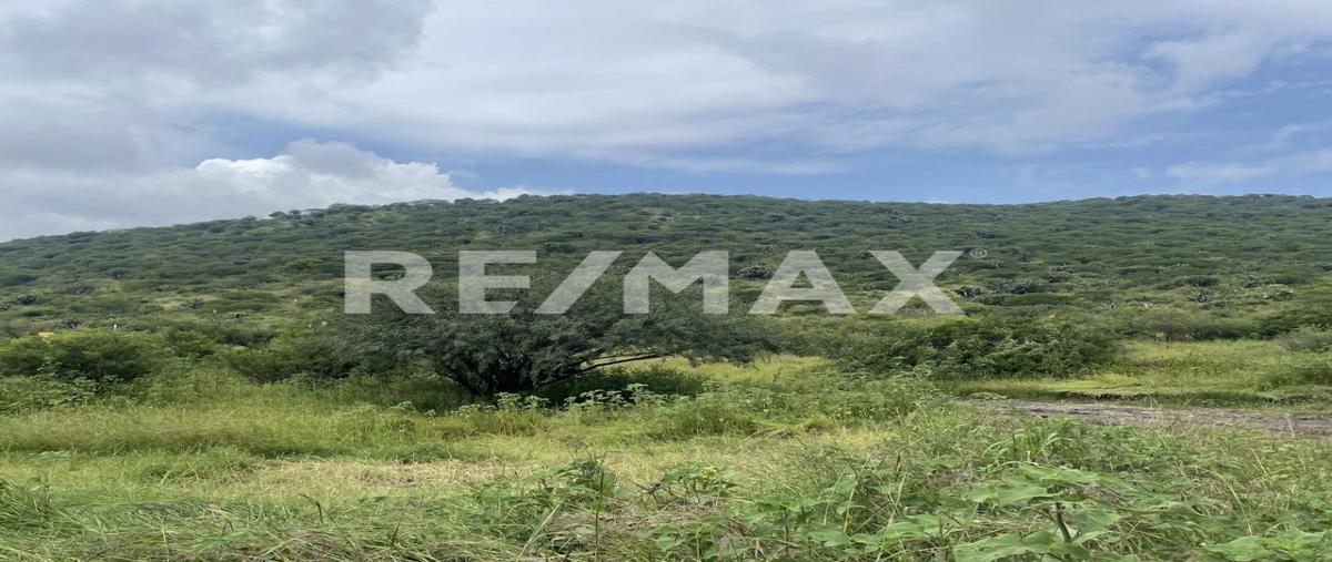 Foto de terreno comercial en carretera estatal 500 , tierra blanca, el marqués, querétaro, 26283803 foto 02 Foto de terreno comercial en venta en carretera estatal 500 , tierra blanca, el marqués, querétaro, 26283803 No. 02