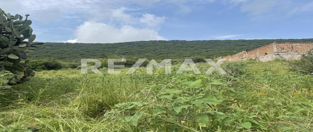 Foto de terreno comercial en carretera estatal 500 , tierra blanca, el marqués, querétaro, 26283803 foto 04 Foto de terreno comercial en venta en carretera estatal 500 , tierra blanca, el marqués, querétaro, 26283803 No. 04