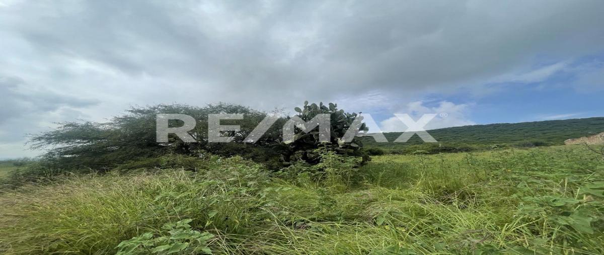 Foto de terreno comercial en carretera estatal 500 , tierra blanca, el marqués, querétaro, 26283803 foto 05 Foto de terreno comercial en venta en carretera estatal 500 , tierra blanca, el marqués, querétaro, 26283803 No. 05