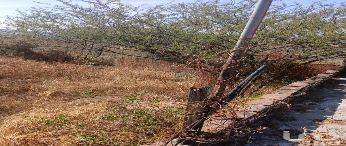 Foto de terreno habitacional en venta en carretera estatal abasolo-pastor ortiz , el novillero, abasolo, guanajuato, 30703645 No. 03