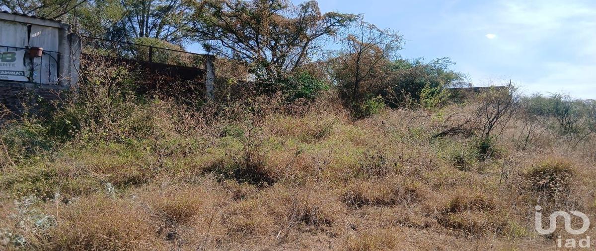 Foto de terreno habitacional en venta en carretera estatal abasolo-pastor ortiz , el novillero, abasolo, guanajuato, 30703645 No. 03