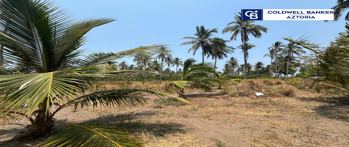 Foto de terreno habitacional en venta en carretera estatal paraiso - barra de tupilco , la unión 1ra. sección (amatillo), paraíso, tabasco, 0 No. 05