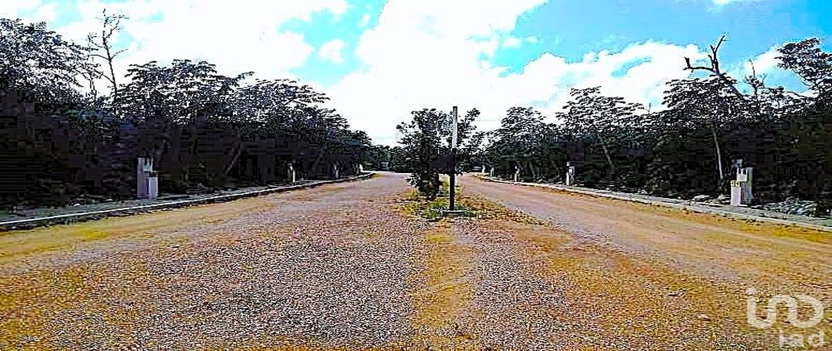 Foto de terreno comercial en carretera estatal tulum coba kilometro 5 r.15 , tulum centro, tulum, quintana roo, 28719636 foto 02 Foto de terreno comercial en venta en carretera estatal tulum coba kilometro 5 r.15 , tulum centro, tulum, quintana roo, 28719636 No. 02
