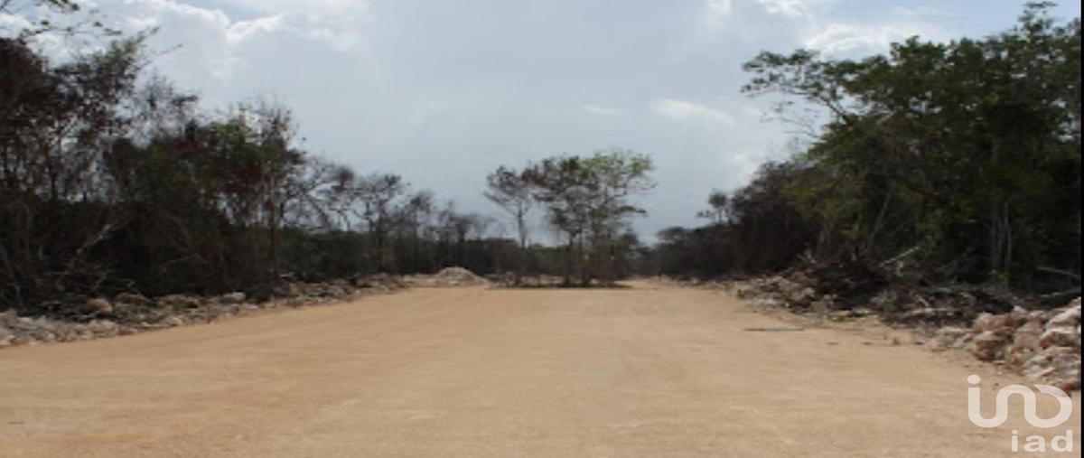 Foto de terreno comercial en venta en carretera estatal tulum coba kilometro 5 r.15 , tulum centro, tulum, quintana roo, 0 No. 04