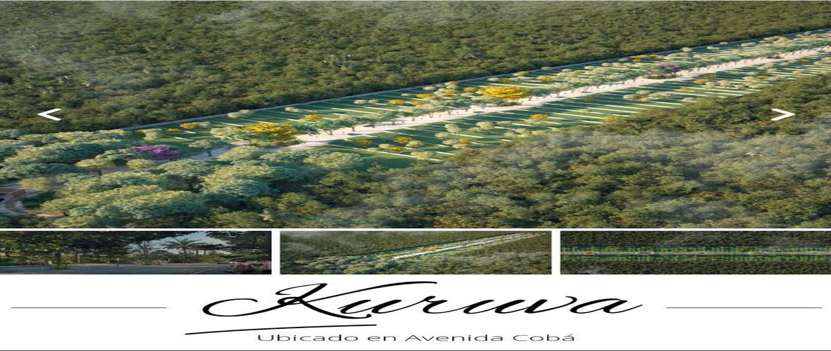 Foto de terreno habitacional en venta en carretera estatal tulum coba , tulum centro, tulum, quintana roo, 27945723 No. 05