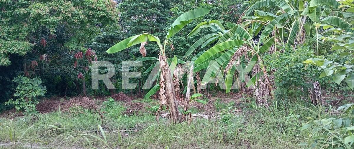 Foto de terreno habitacional en venta en carretera estatal vhsa - luis gil perez kilometro 8 , boquerón (san pedro), centro, tabasco, 0 No. 03