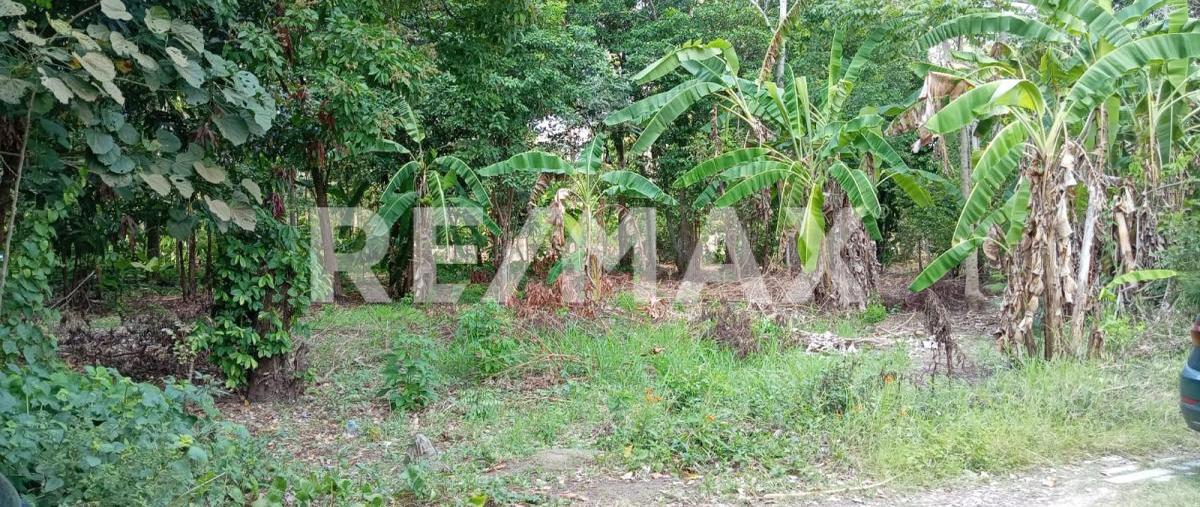 Foto de terreno habitacional en venta en carretera estatal vhsa - luis gil perez kilometro 8 , boquerón (san pedro), centro, tabasco, 0 No. 04