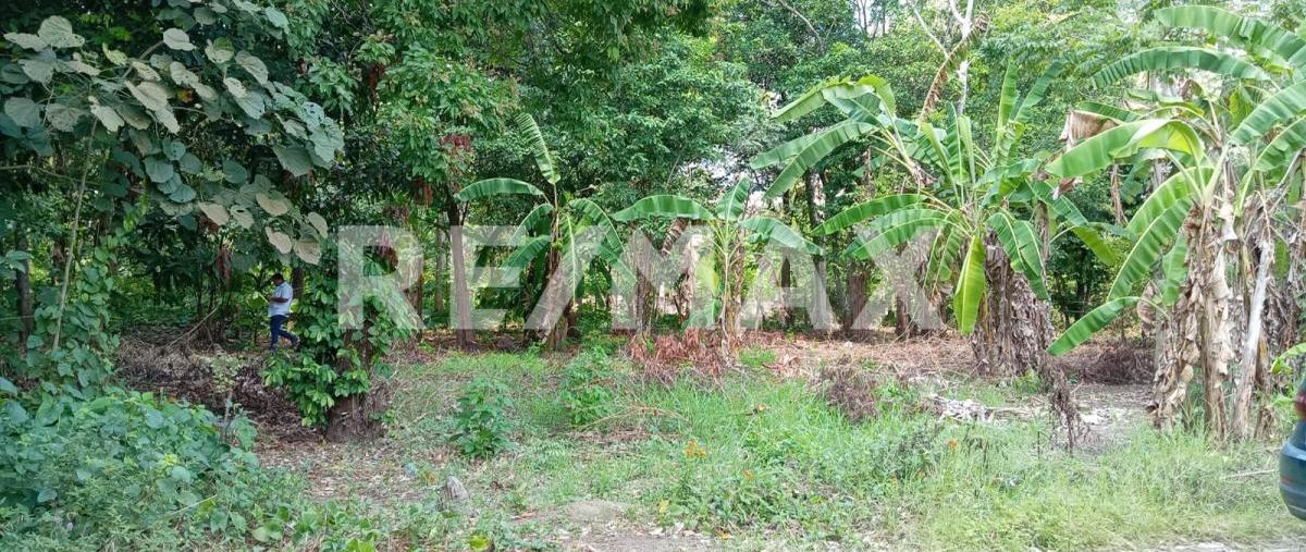 Foto de terreno habitacional en venta en carretera estatal vhsa - luis gil perez kilometro 8 , boquerón (san pedro), centro, tabasco, 0 No. 05