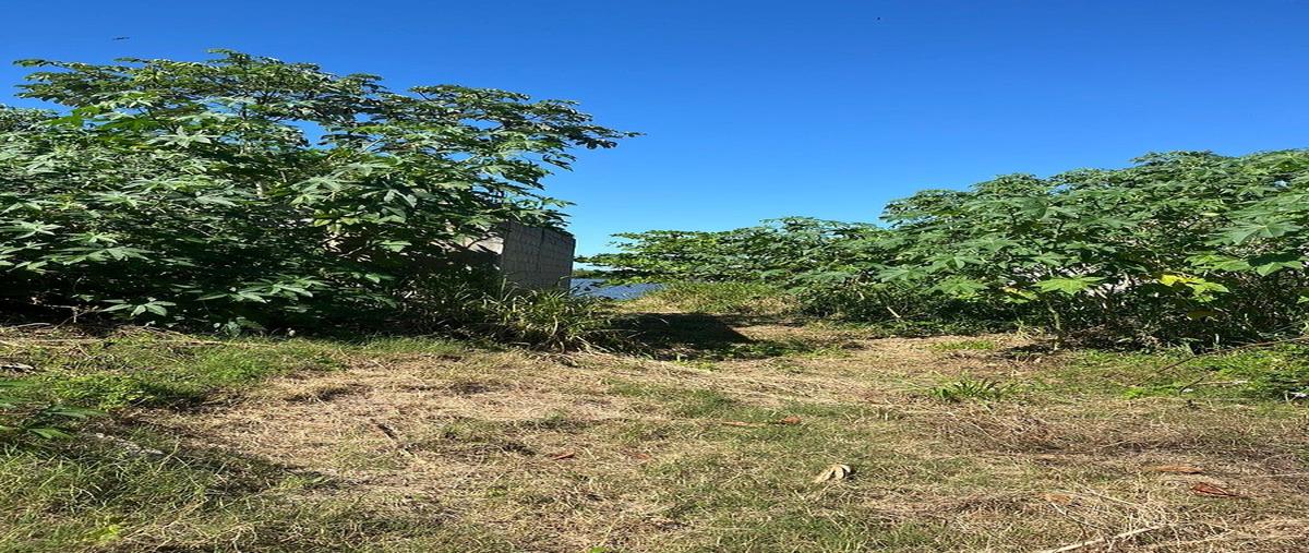 Foto de terreno habitacional en venta en carretera estatalel bellote aquiles serdán , el bellote (miguel de la madrid), paraíso, tabasco, 0 No. 05